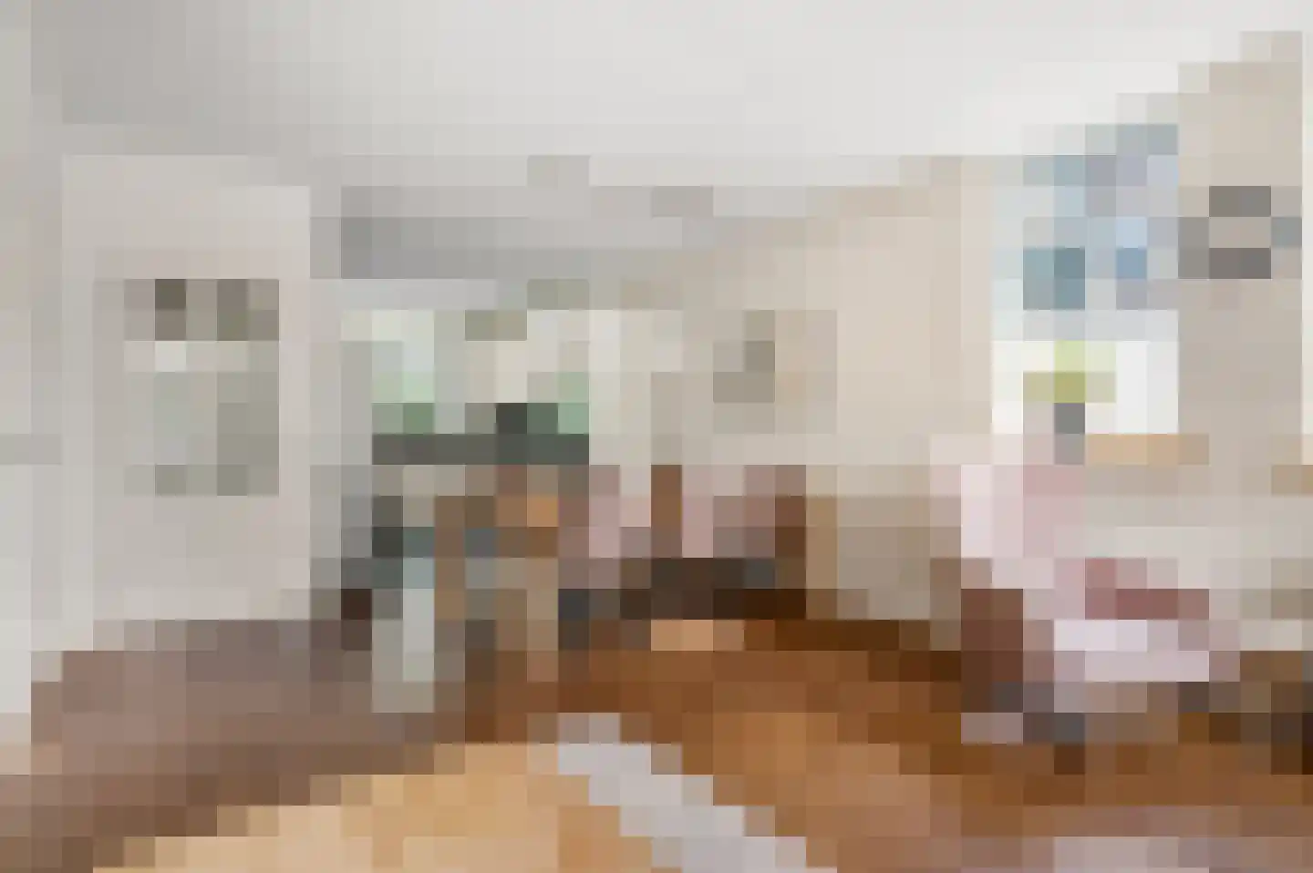 Annadaal 25 Ede thumbnail 8