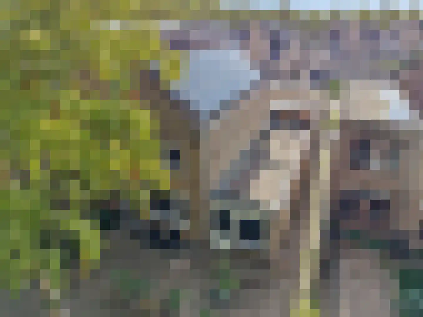 Annadaal 59 Ede thumbnail 42