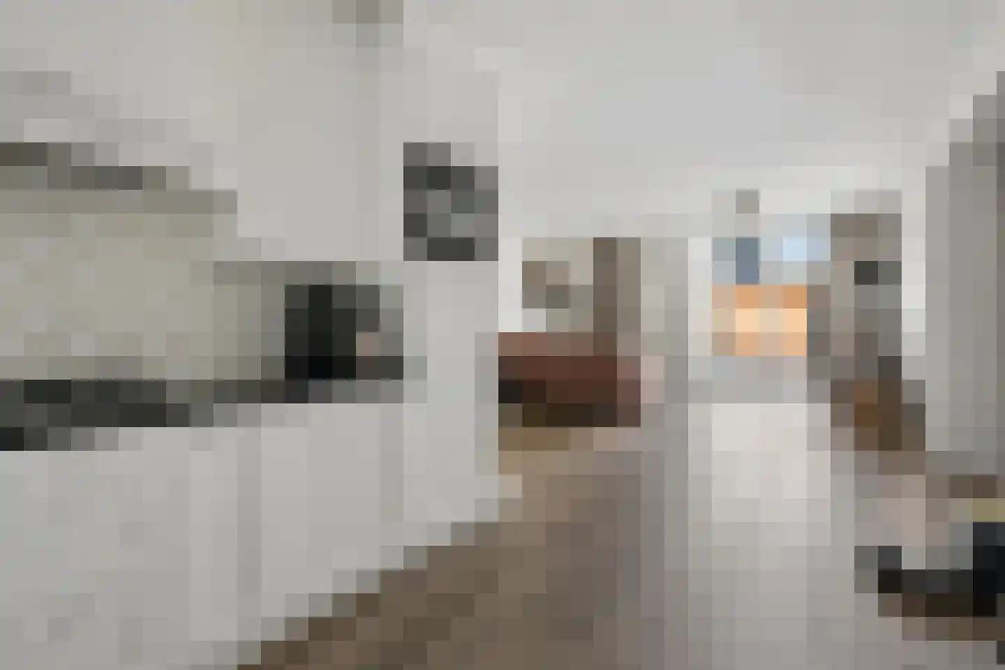 Annadaal 59 Ede thumbnail 8