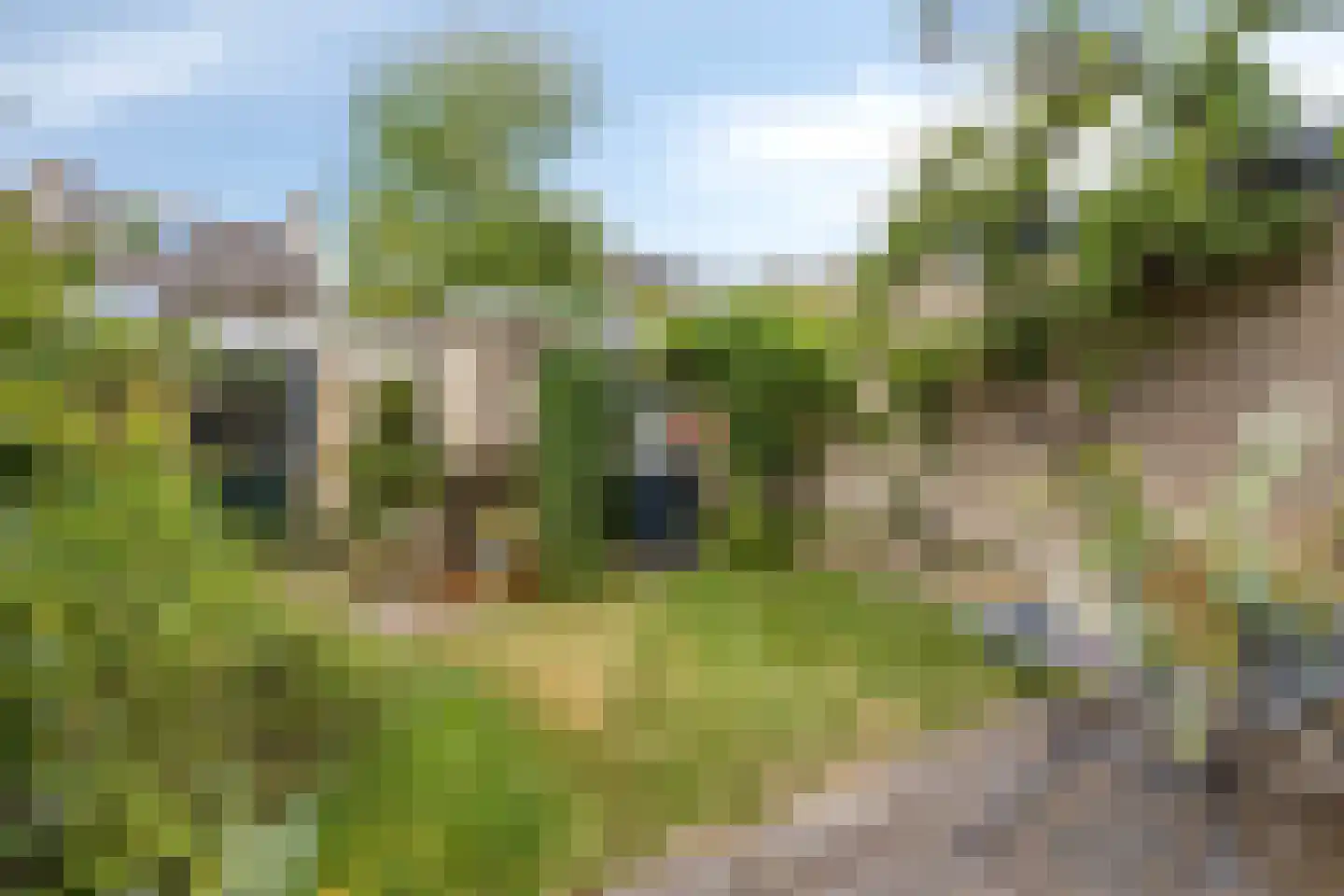 Annadal 20 Valkenswaard thumbnail 30