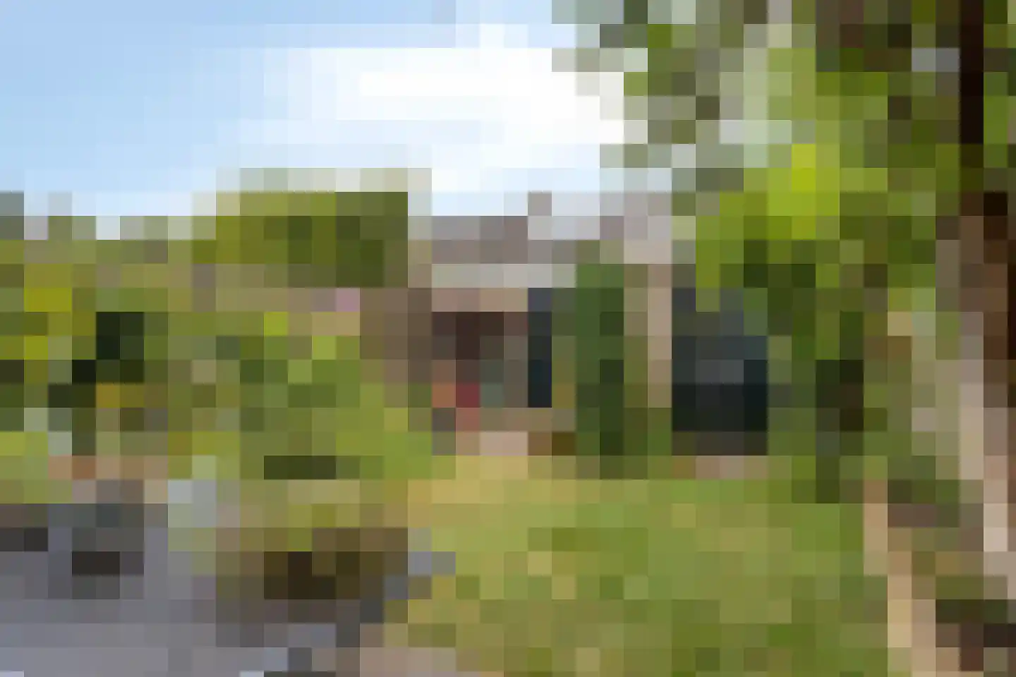 Annadal 20 Valkenswaard thumbnail 31