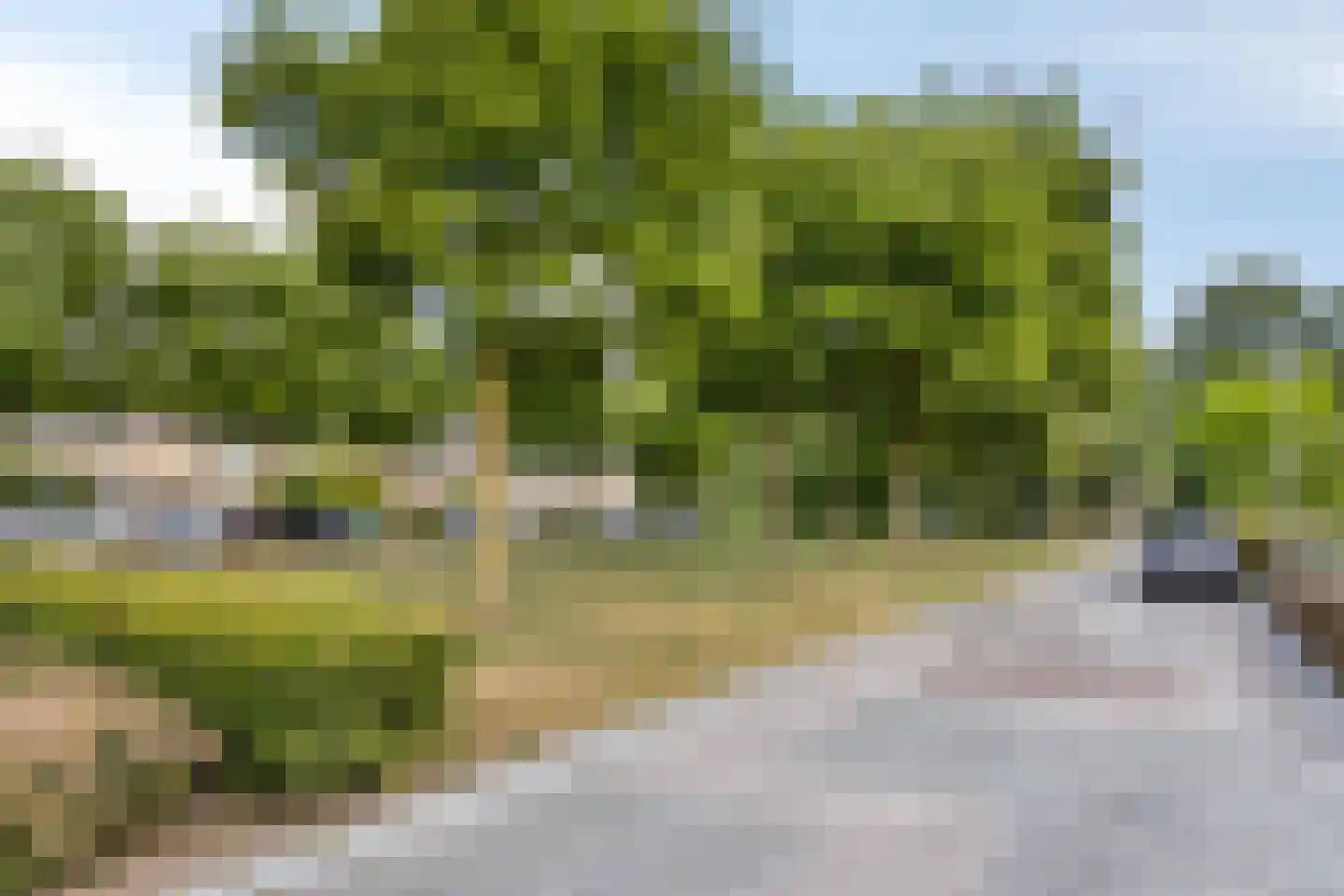 Annadal 20 Valkenswaard thumbnail 37