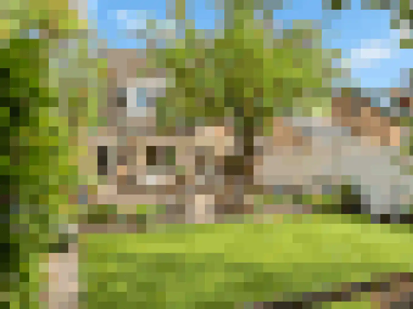 Annadal 55 Valkenswaard thumbnail 4