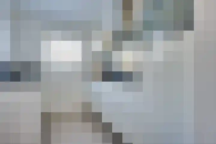 Annapark 26 Rosmalen thumbnail 12