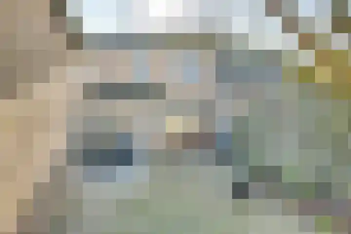 Annapark 26 Rosmalen thumbnail 28