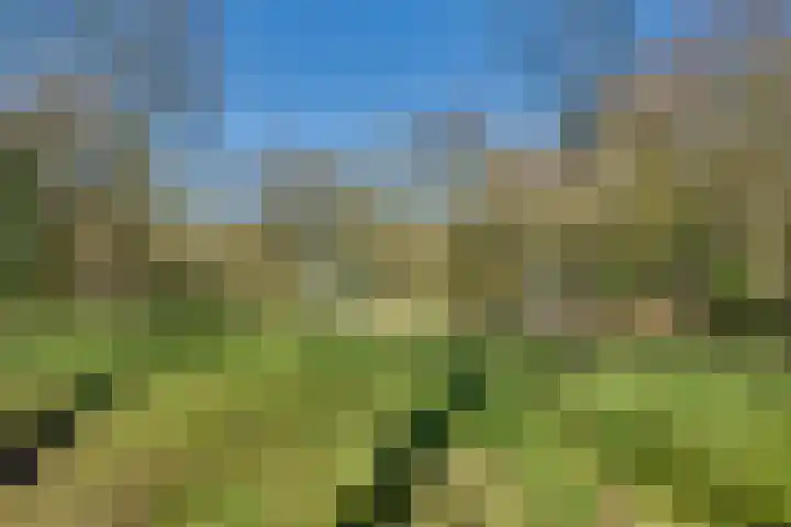 Annapark 26 Rosmalen thumbnail 31