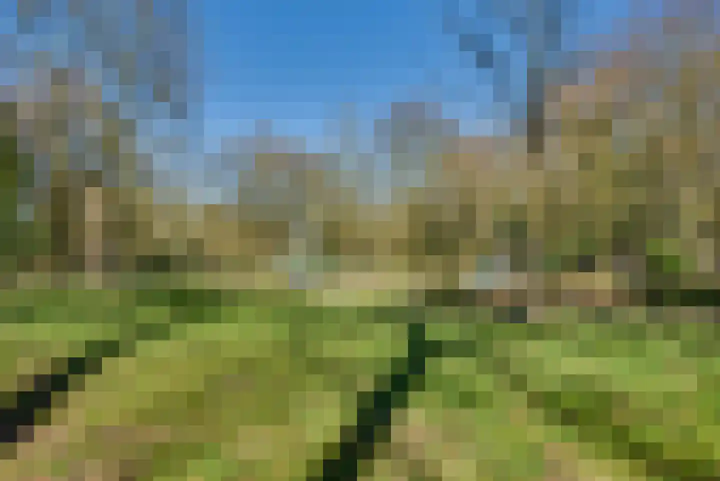 Annapark 26 Rosmalen thumbnail 31