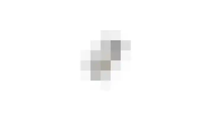 Annapark 26 Rosmalen thumbnail 43