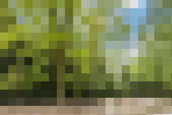 Annaplein 14 Goirle thumbnail 26