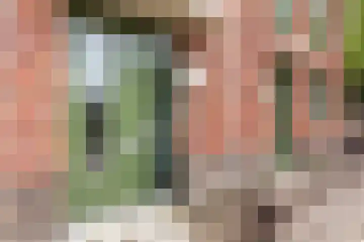 Annaplein 14 Goirle thumbnail 34
