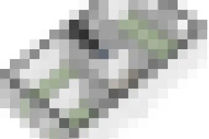 Annaplein 14 Goirle thumbnail 41