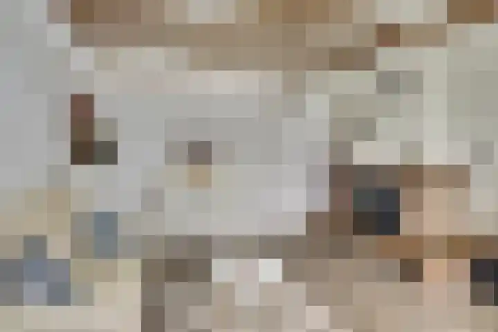 Annastraat 1 Katwijk thumbnail 13