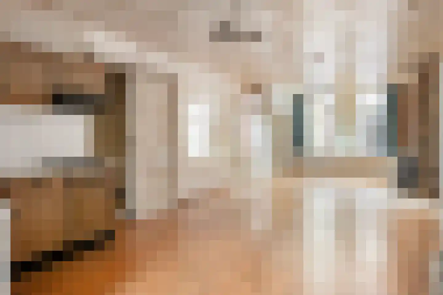 Annastraat 10 Delft thumbnail 7
