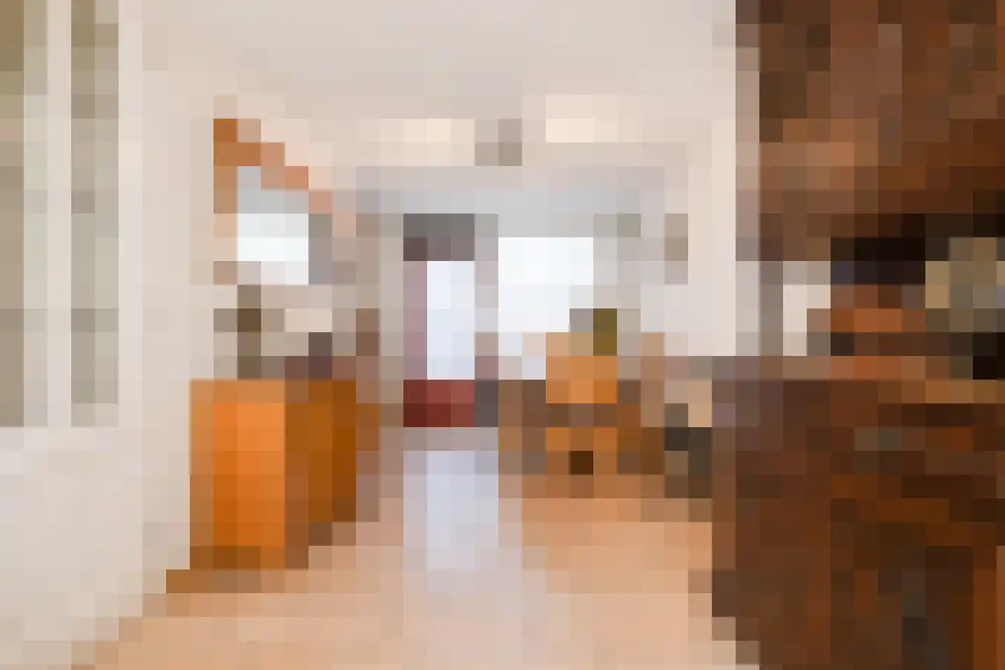 Annastraat 119 Boxtel thumbnail 11