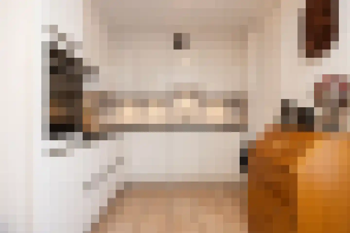 Annastraat 119 Boxtel thumbnail 14