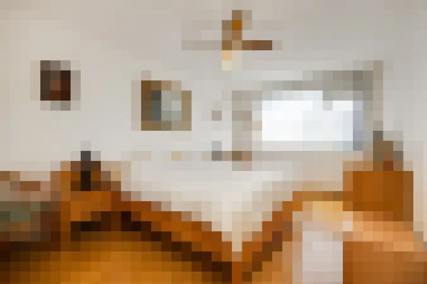 Annastraat 119 Boxtel thumbnail 22