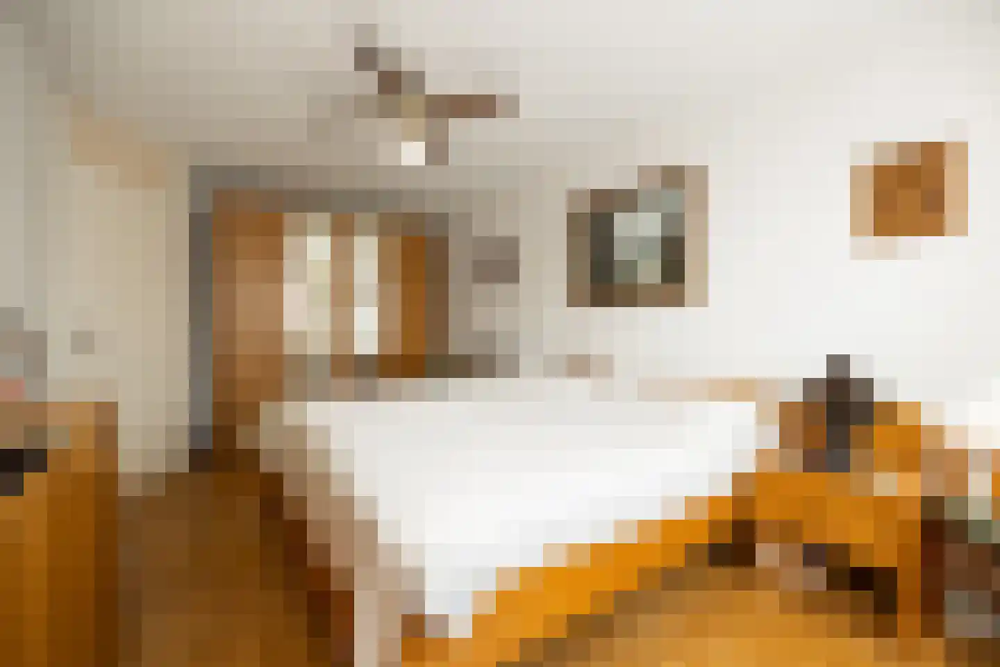 Annastraat 119 Boxtel thumbnail 24