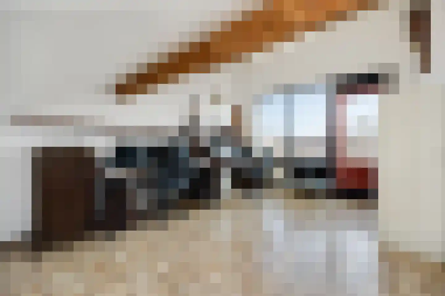 Annastraat 119 Boxtel thumbnail 34