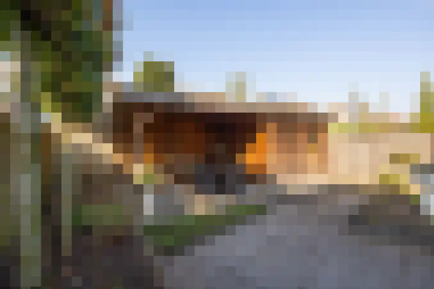 Annastraat 119 Boxtel thumbnail 46