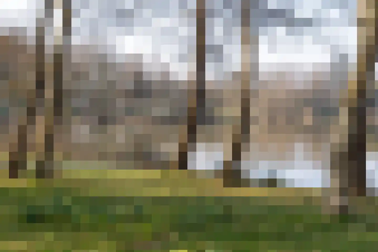 Annastraat 119 Boxtel thumbnail 61