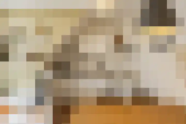 Annastraat 12 Groningen thumbnail 11
