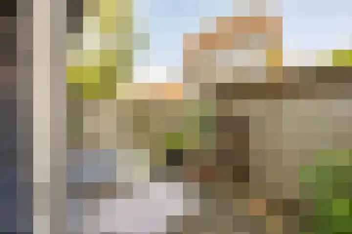 Annastraat 12 Groningen thumbnail 24