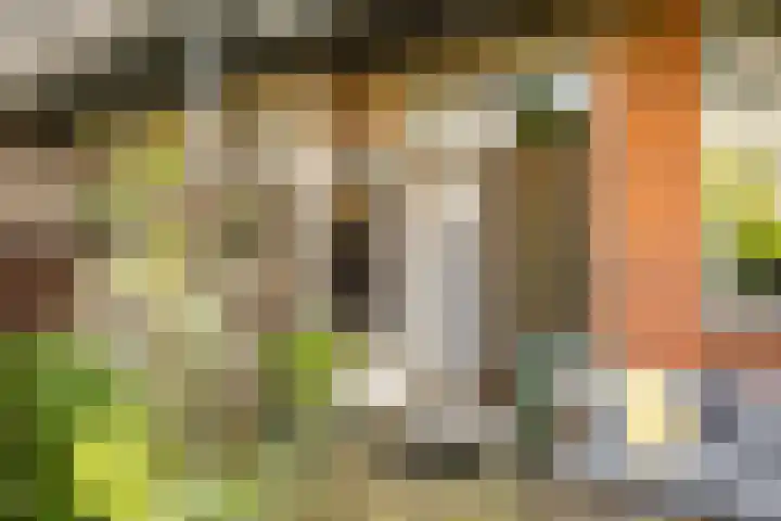 Annastraat 12 Groningen thumbnail 29