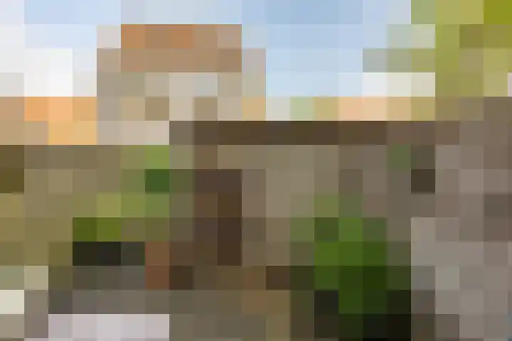Annastraat 12 Groningen thumbnail 30