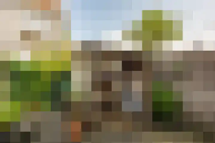 Annastraat 12 Groningen thumbnail 31