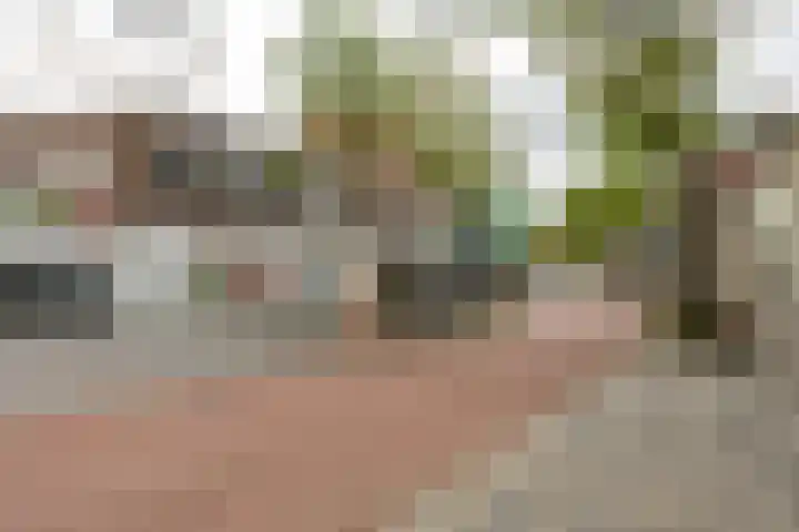 Annastraat 12 Groningen thumbnail 33