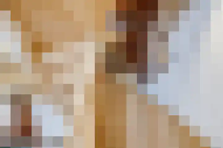 Annastraat 13 Utrecht thumbnail 24