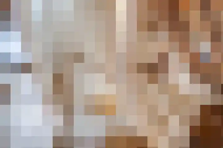 Annastraat 13 Utrecht thumbnail 35