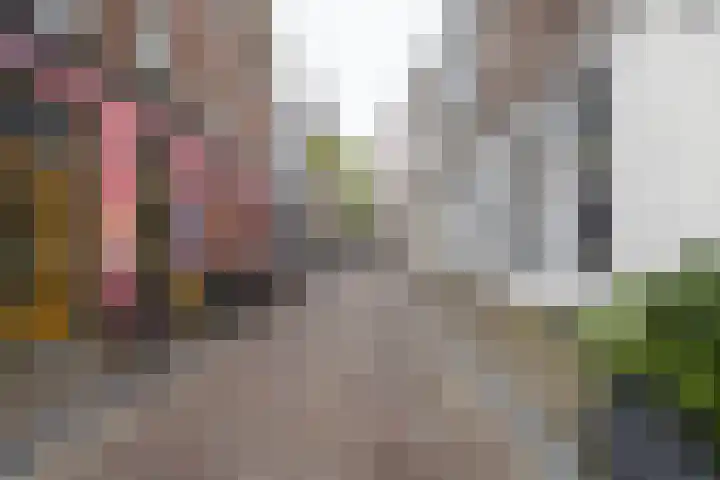 Annastraat 13 Utrecht thumbnail 42