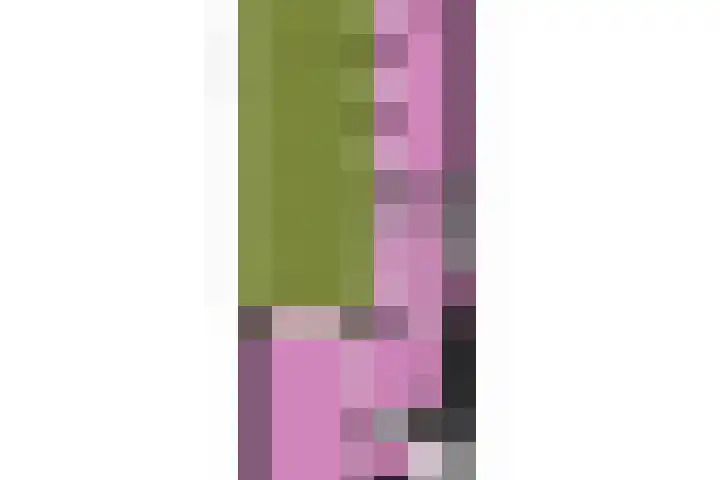 Annastraat 15 Katwijk thumbnail 32