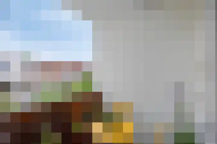 Annastraat 16 Arnhem thumbnail 12