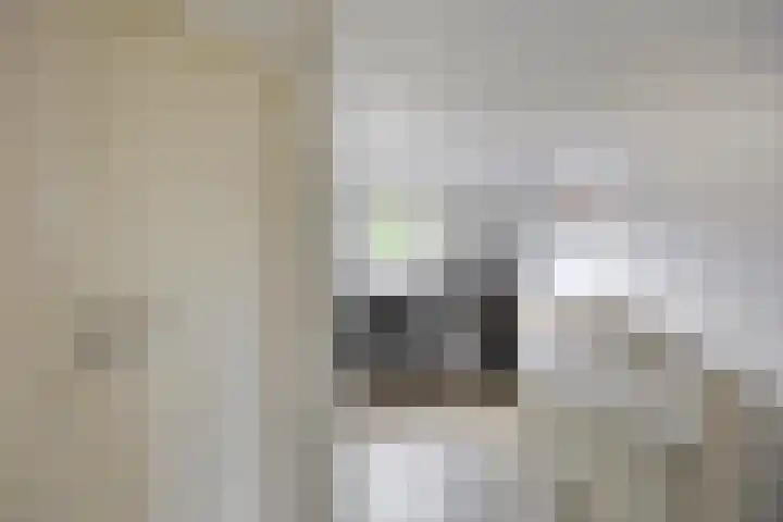 Annastraat 16 Arnhem thumbnail 15