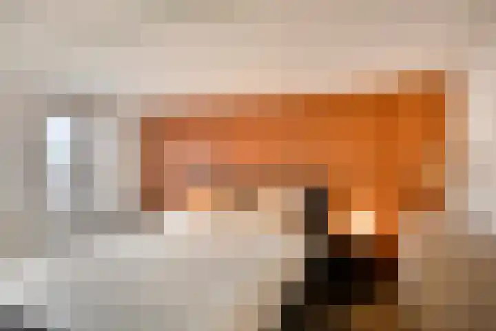 Annastraat 16 Arnhem thumbnail 16