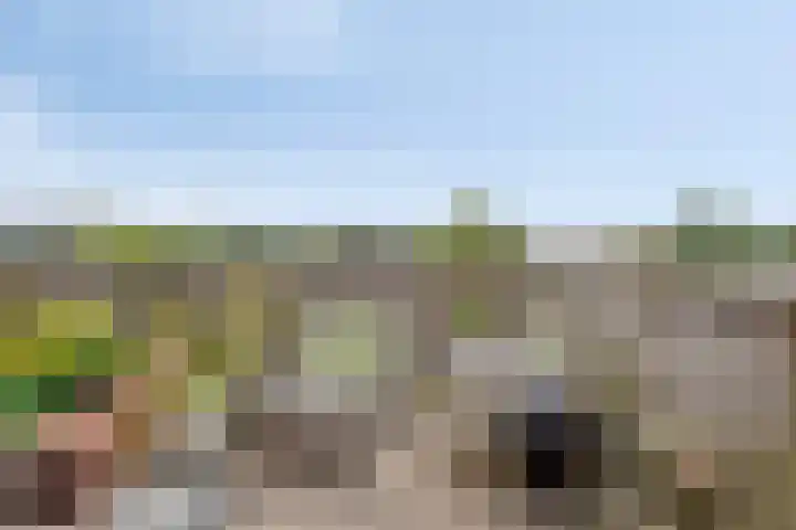 Annastraat 16 Arnhem thumbnail 19