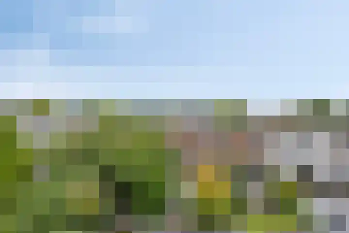 Annastraat 16 Arnhem thumbnail 20