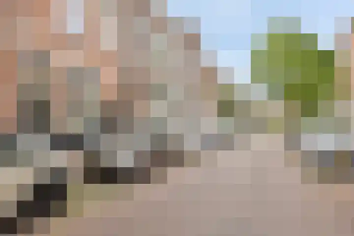 Annastraat 16 Arnhem thumbnail 24