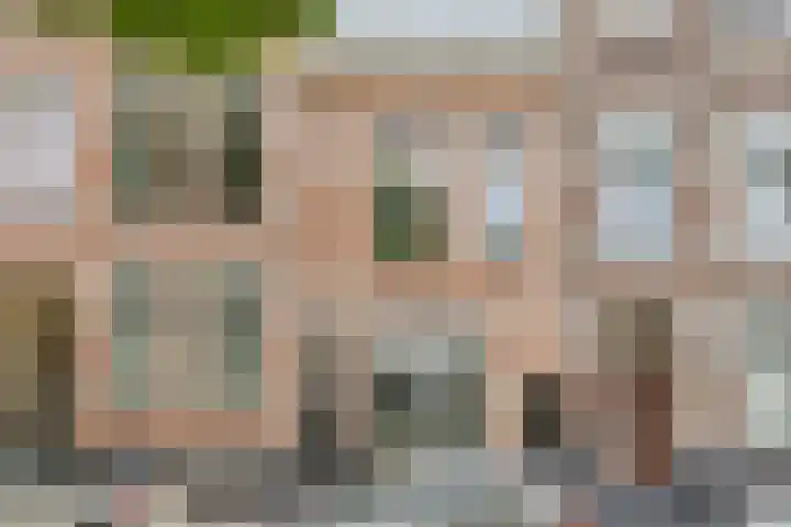 Annastraat 16 Arnhem thumbnail 34