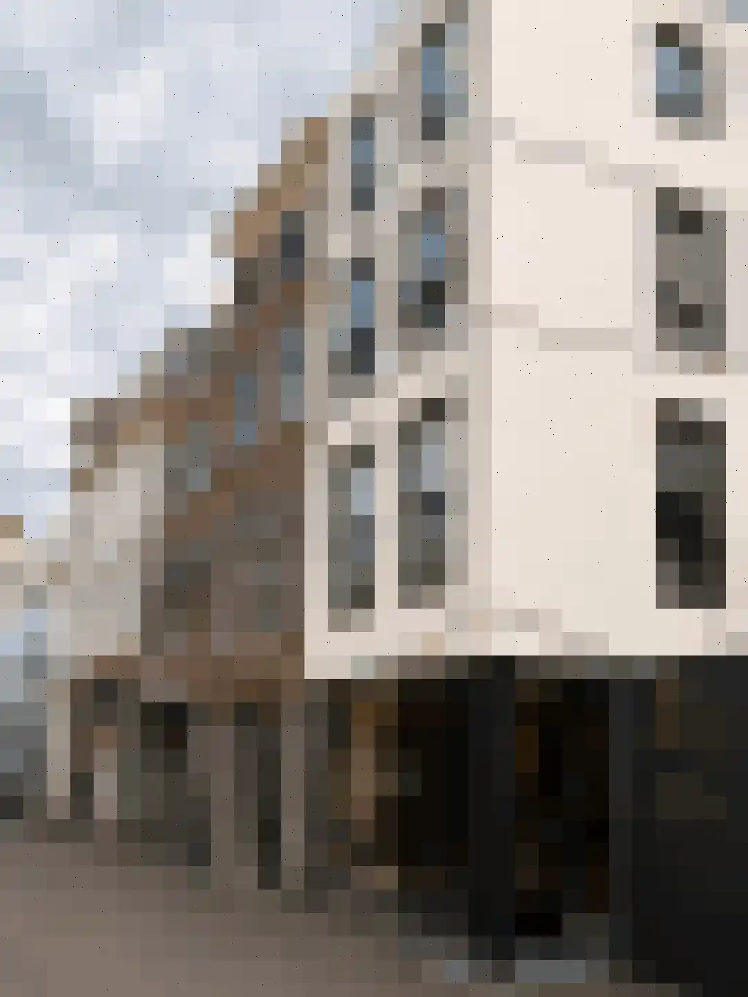 Annastraat 18 Den Haag thumbnail 34