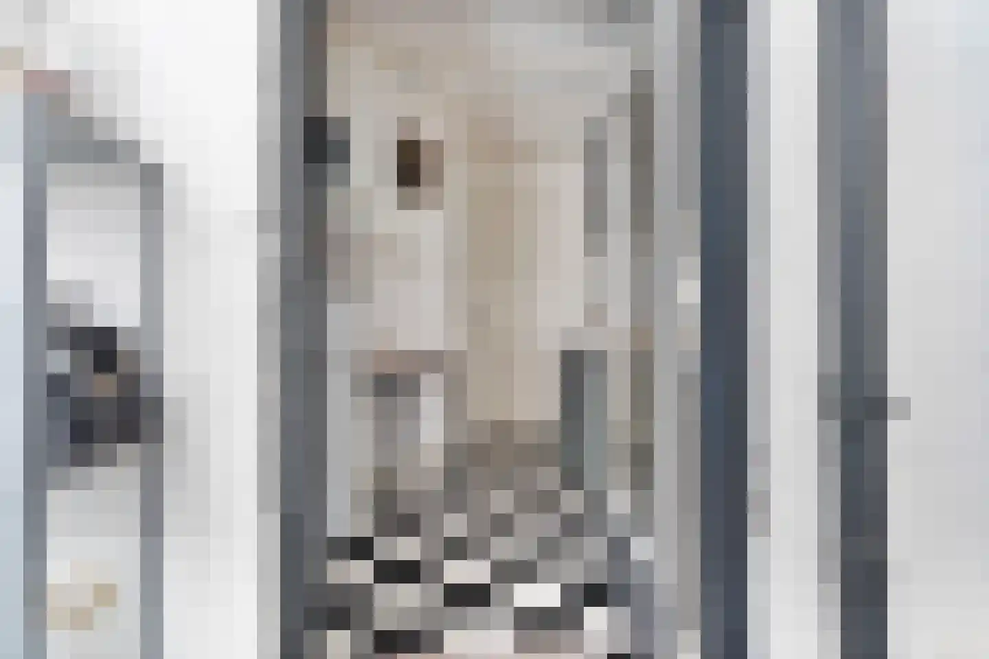 Annastraat 2 Arnhem thumbnail 20