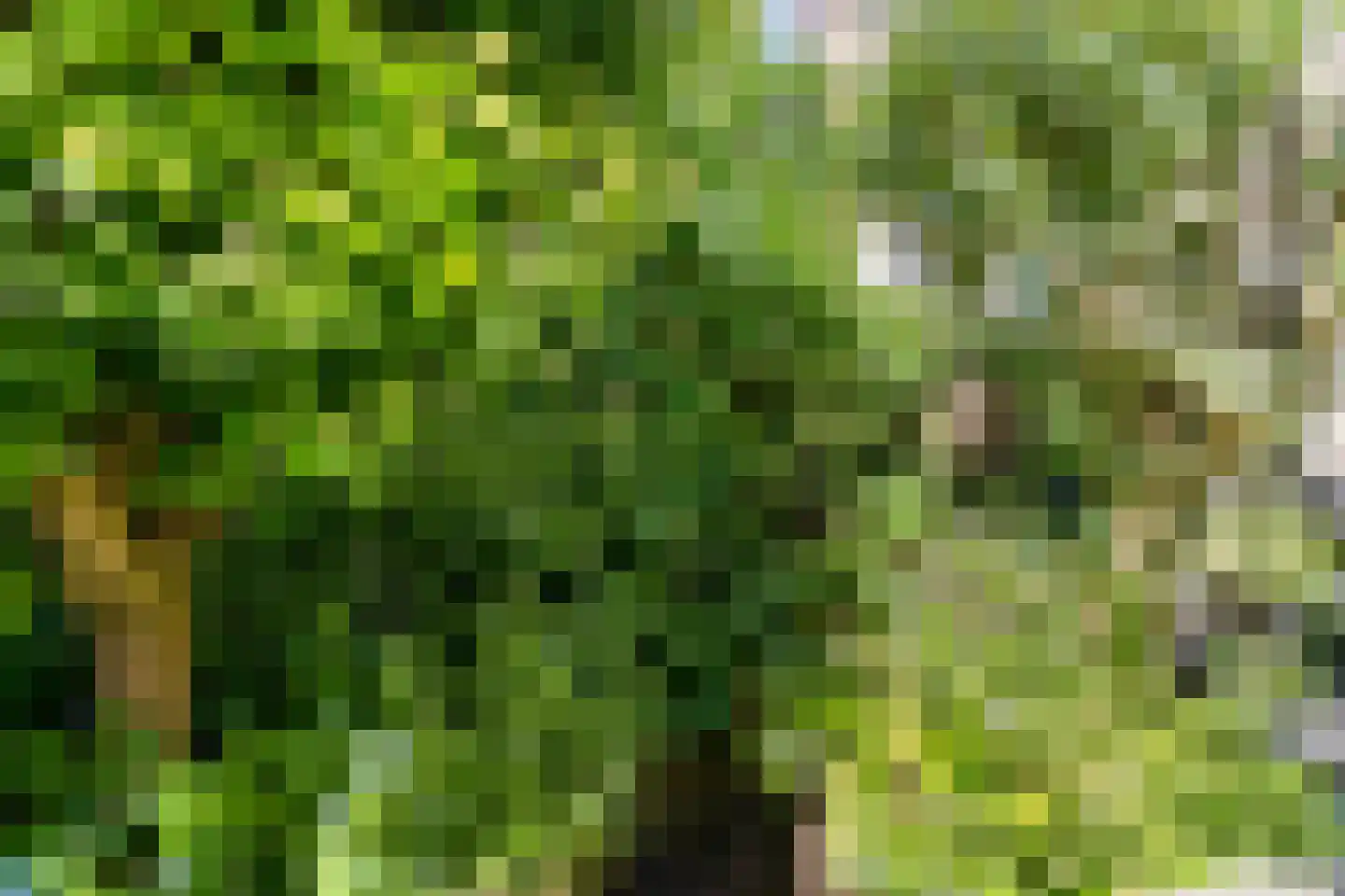 Annastraat 2 Arnhem thumbnail 40