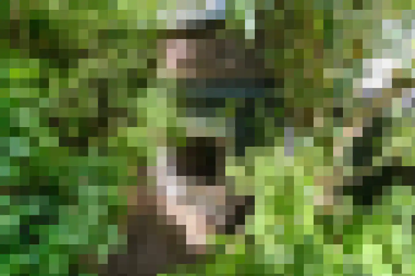 Annastraat 2 Arnhem thumbnail 41