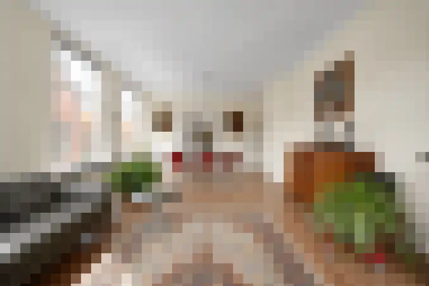 Annastraat 2 Delft thumbnail 11