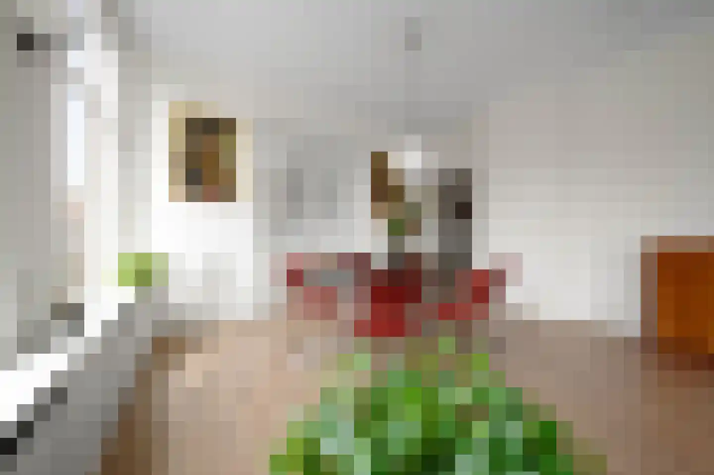 Annastraat 2 Delft thumbnail 13
