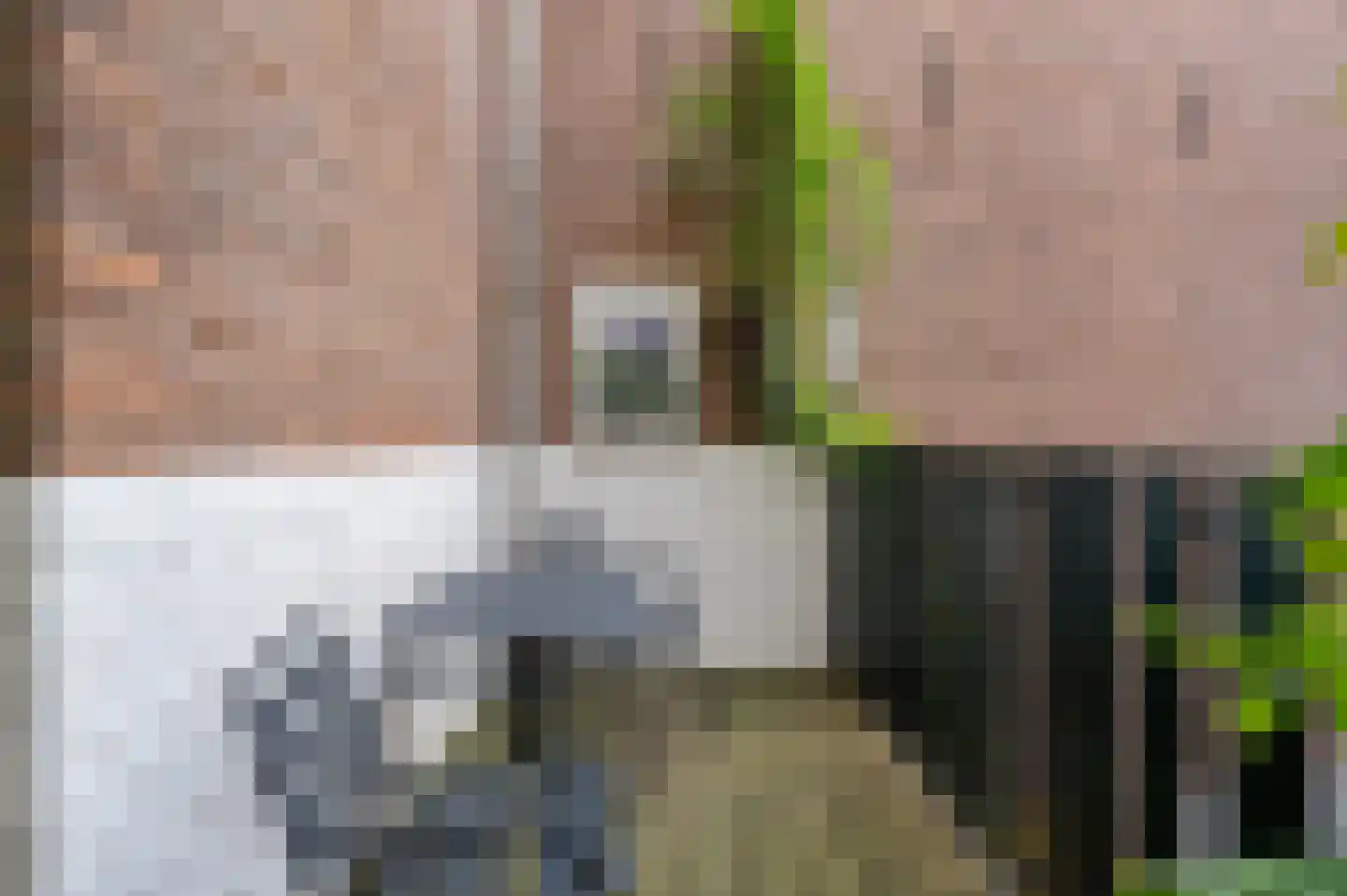 Annastraat 2 Delft thumbnail 22