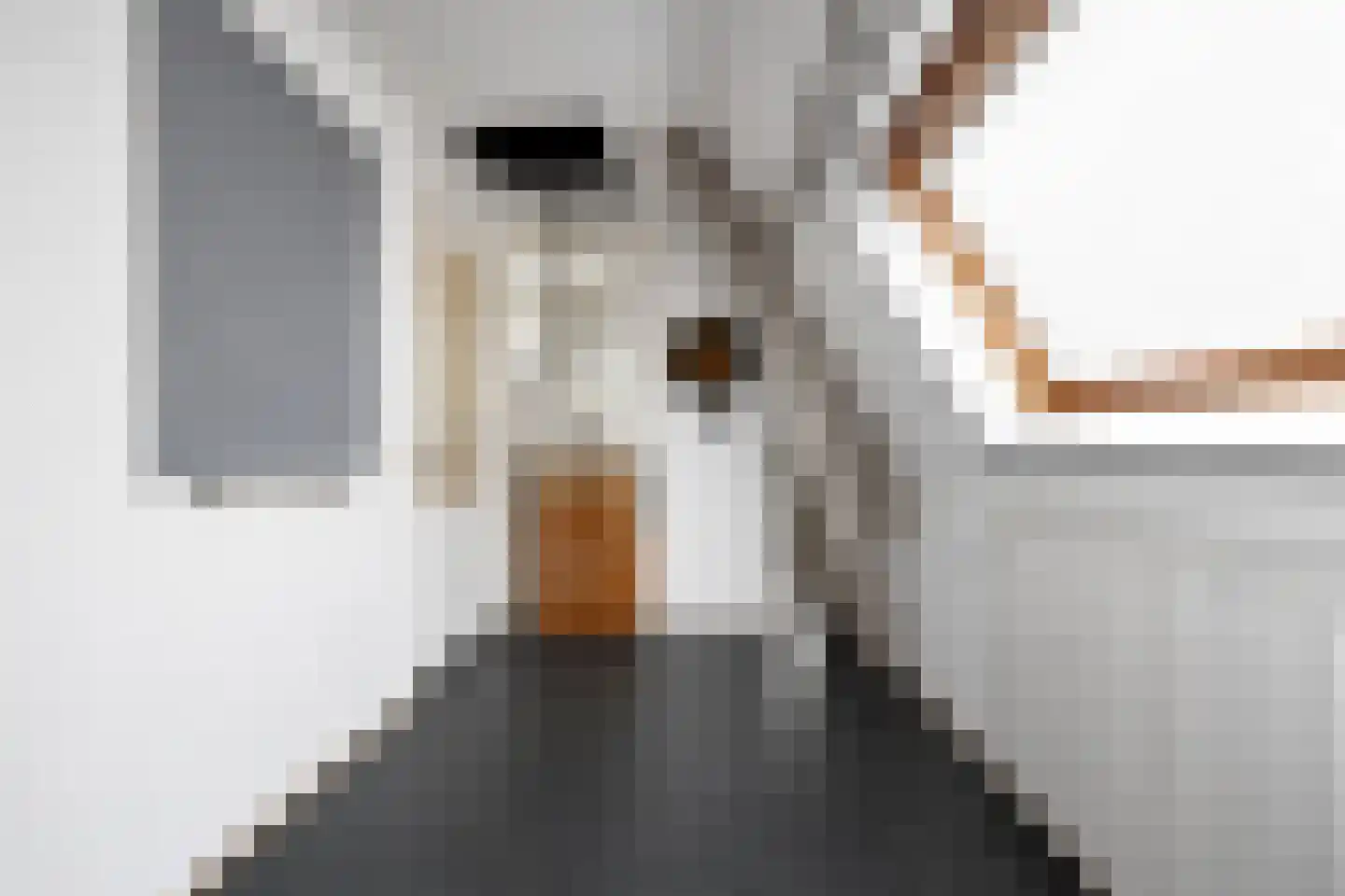 Annastraat 2 Delft thumbnail 38
