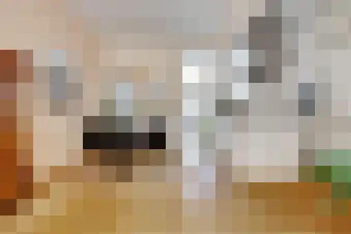 Annastraat 24 Arnhem thumbnail 10